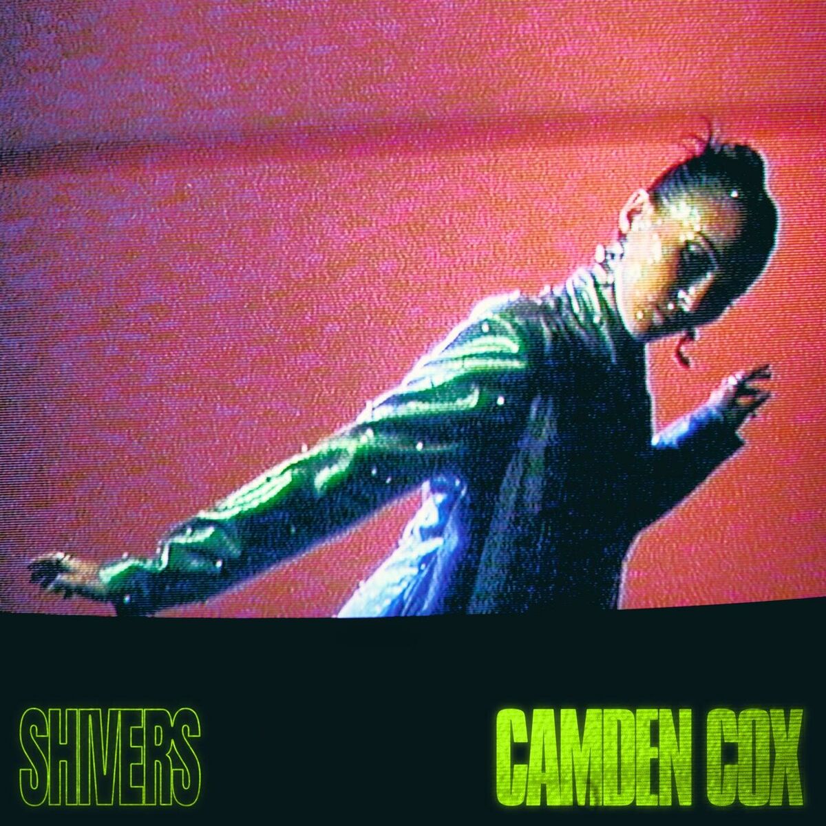 Album cover of Shivers