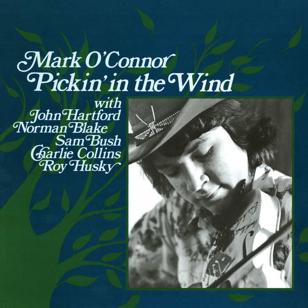 Picture of Pickin' In The Wind