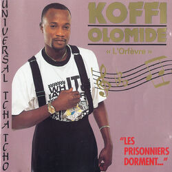 Cover of Les prisonniers dorment…