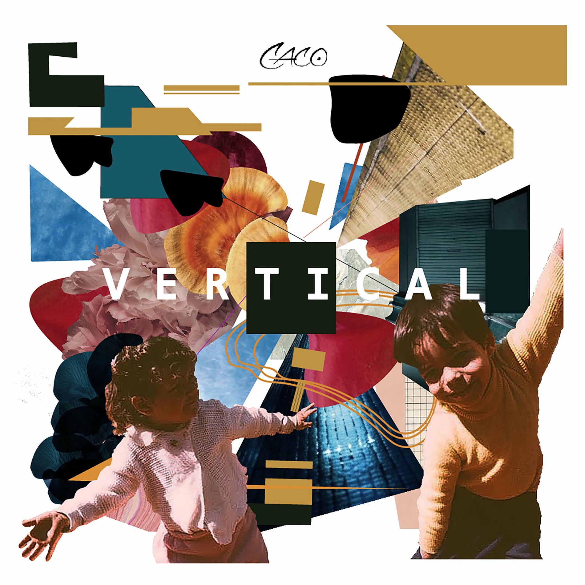 Album cover of Vertical