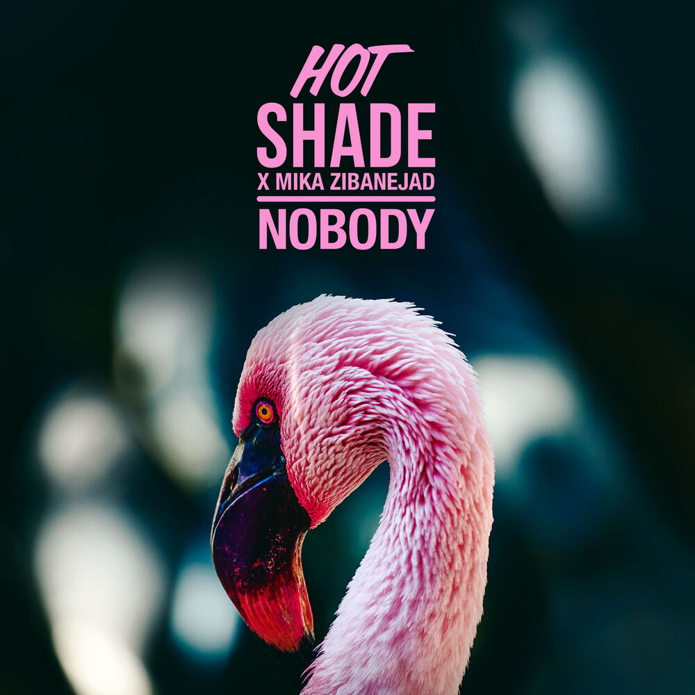 Picture of Nobody