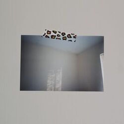 Cover of Off and On