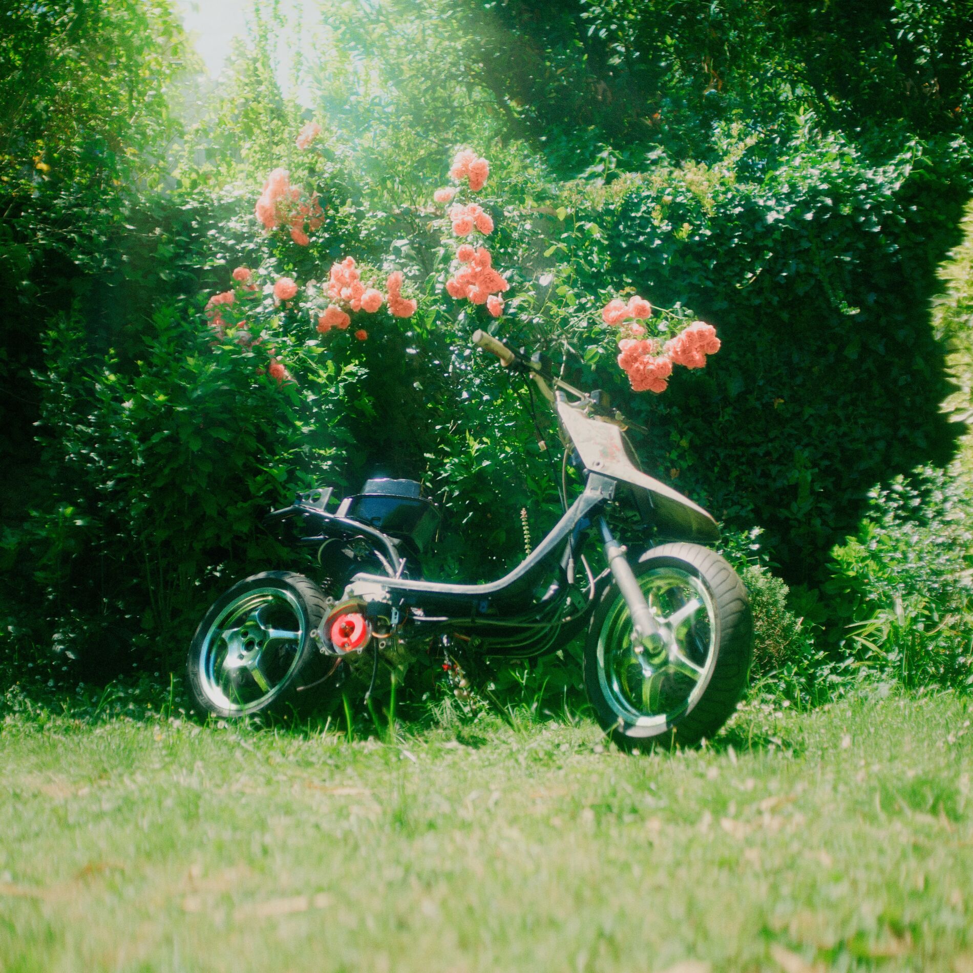 Album cover of Distance