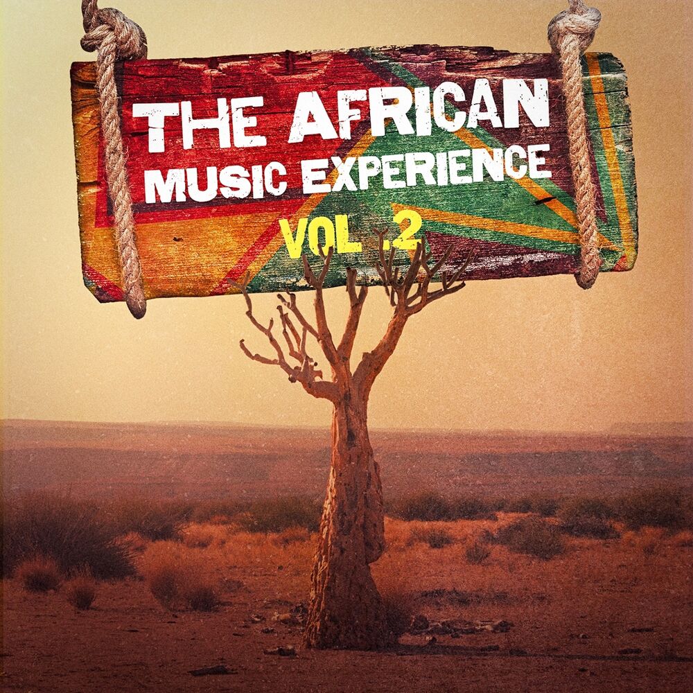 Picture of The African Music Experience, Vol. 2