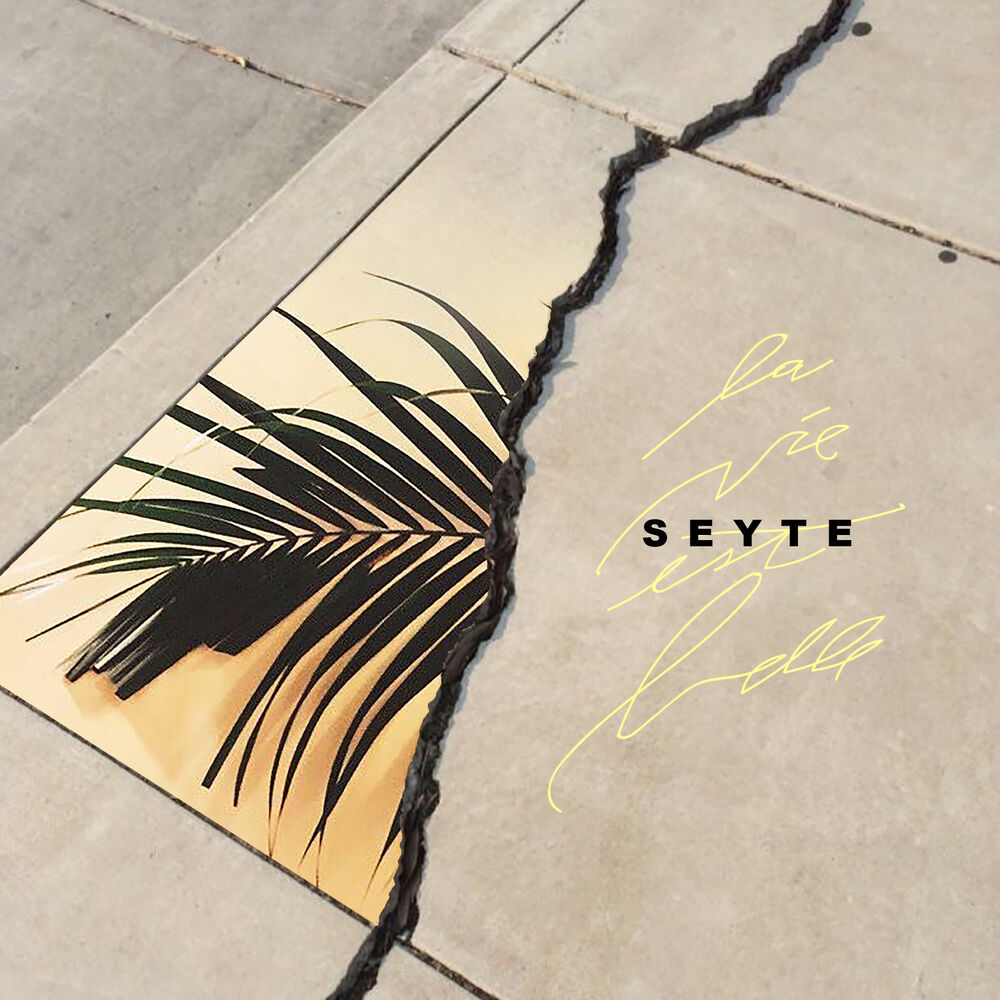 Picture of La vie est belle