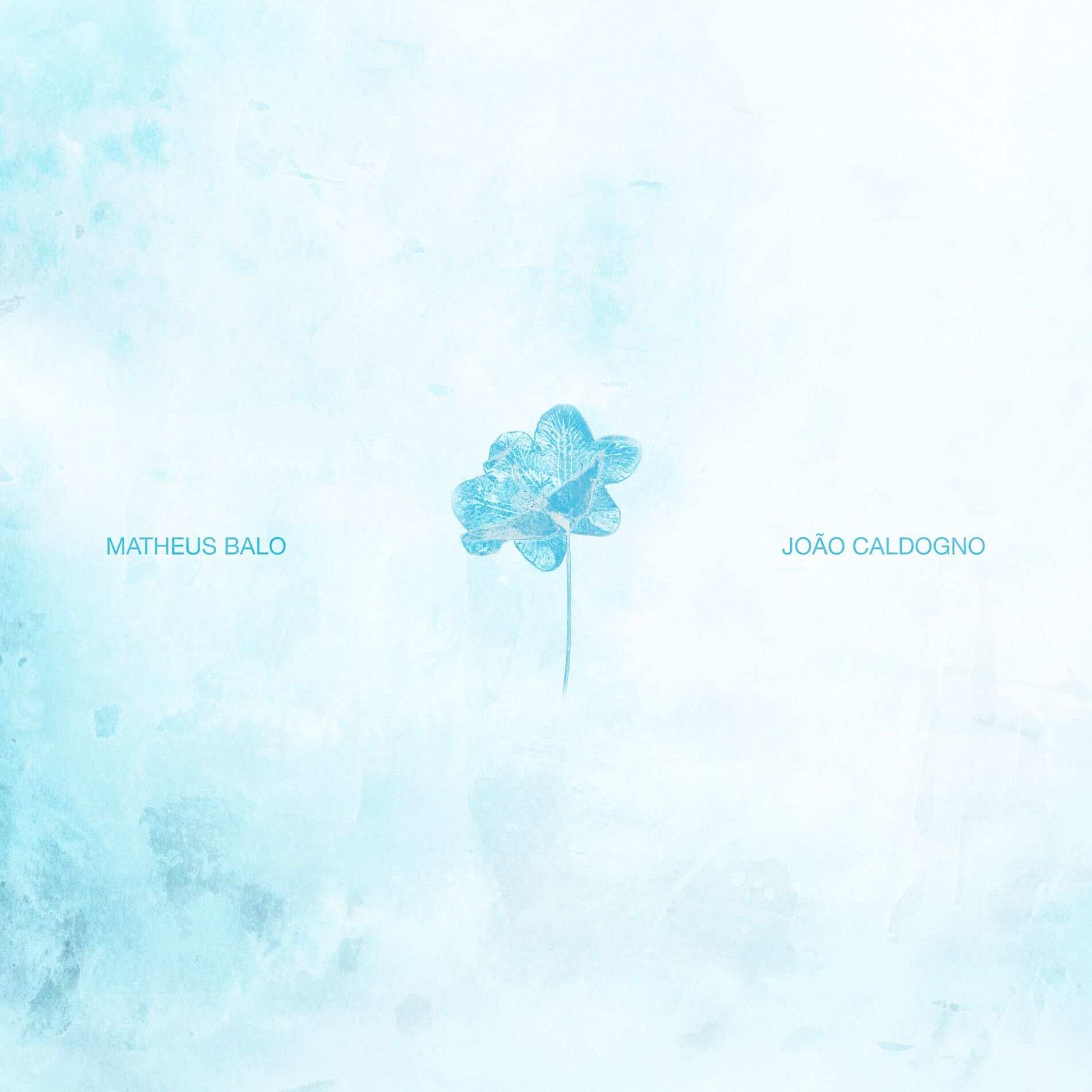 Album cover of Florescerá (feat. João Caldogno)
