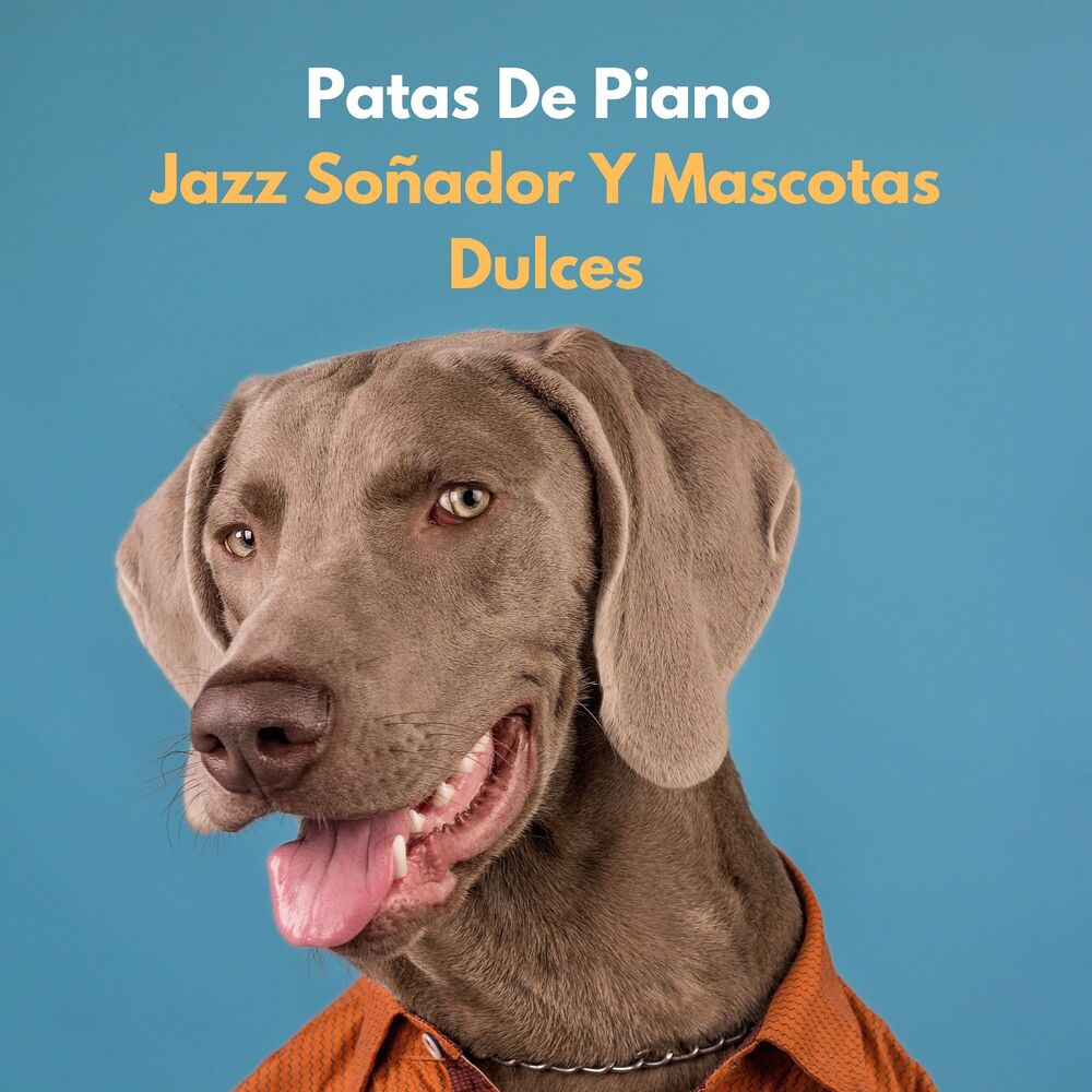 Picture of Patas De Piano: Jazz Soñador Y Mascotas Dulces