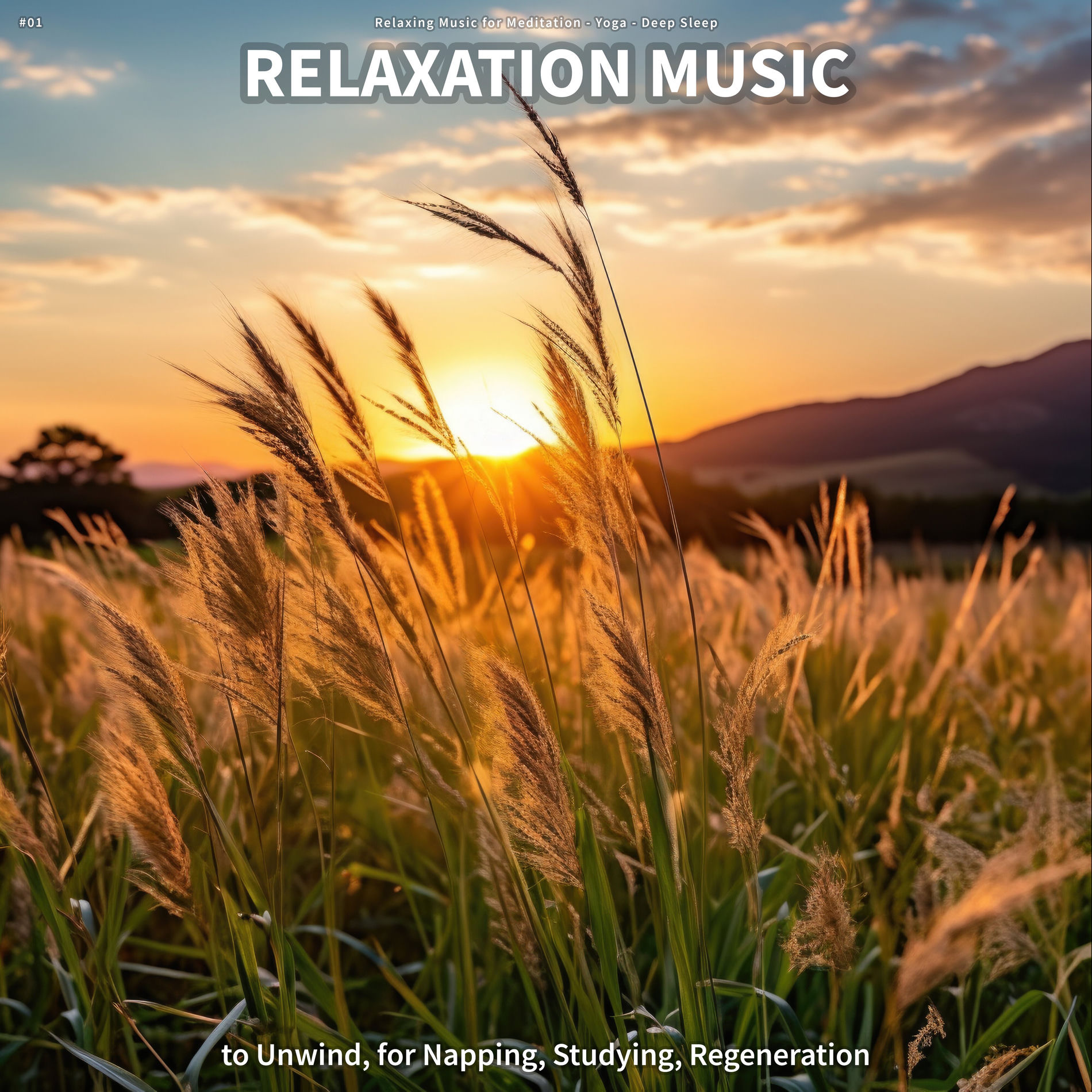 Relaxing Music For Meditation - #01 Relaxation Music to Unwind