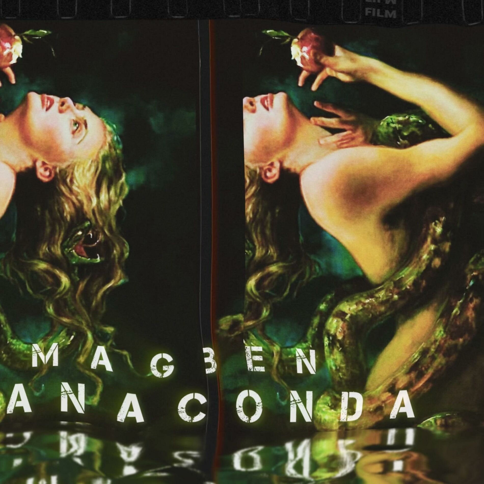 Album cover of Anaconda