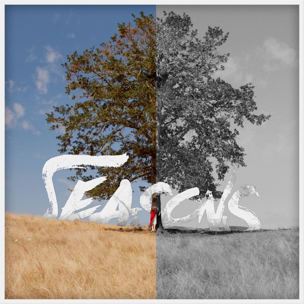 Picture of Seasons