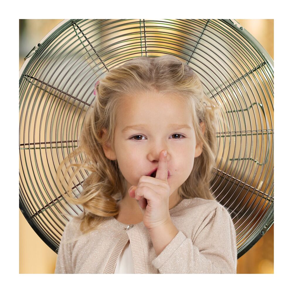 Picture of Shhhh Best Baby Shushers With Fan Sounds