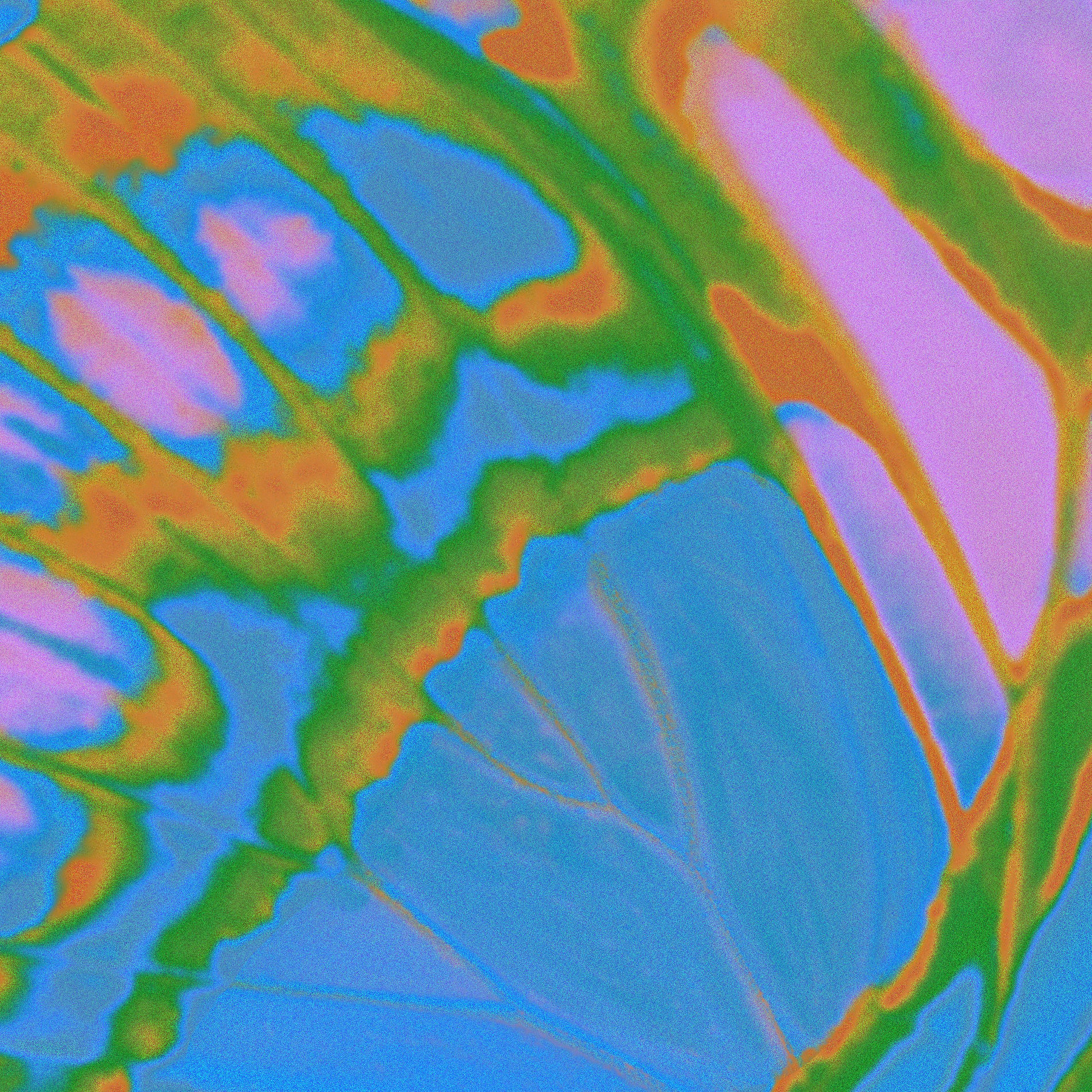 Album cover of MAD