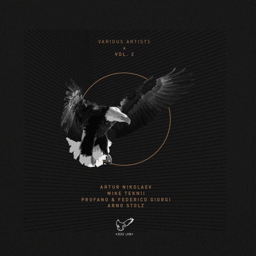Picture of Various Artists Vol.2