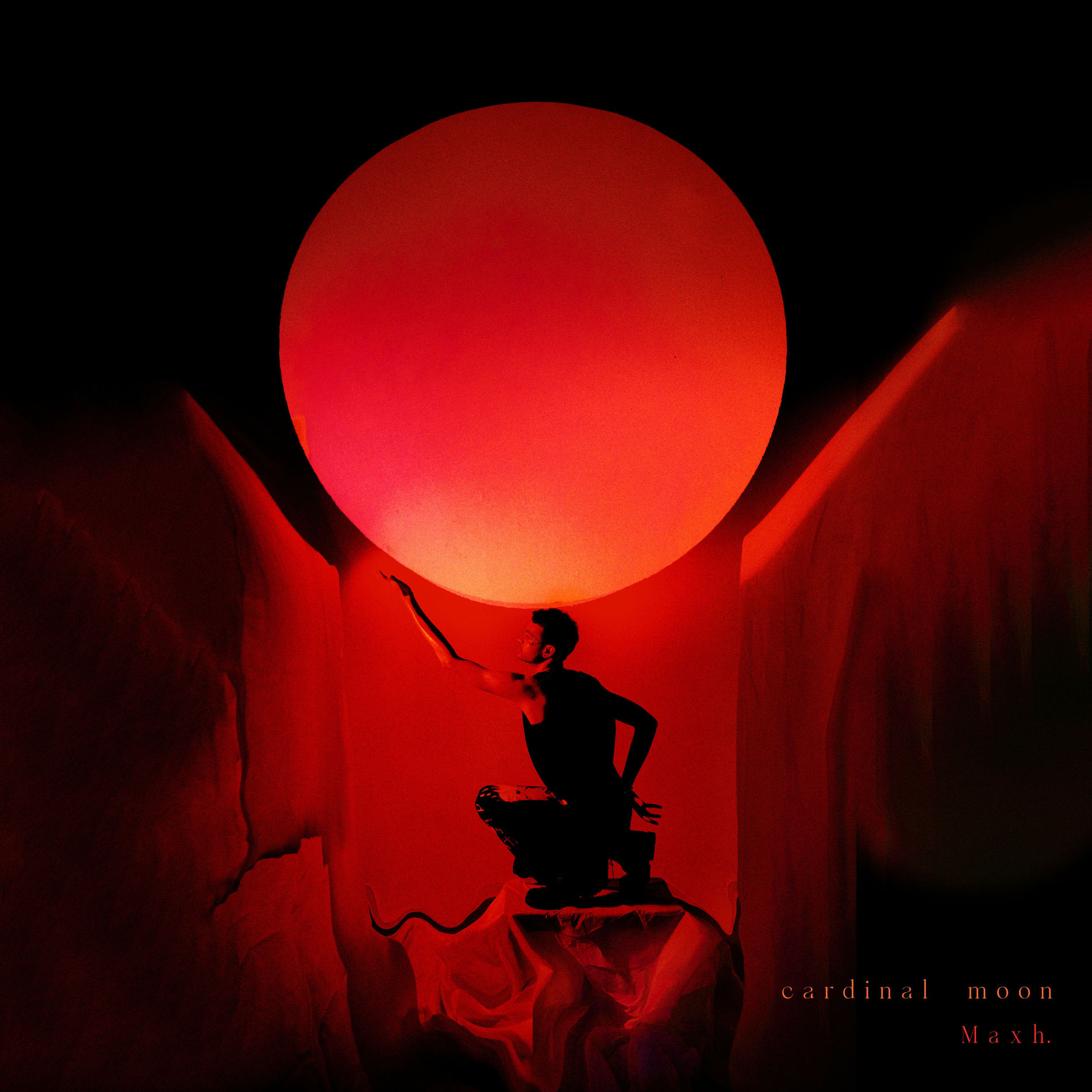 Album cover of cardinal moon