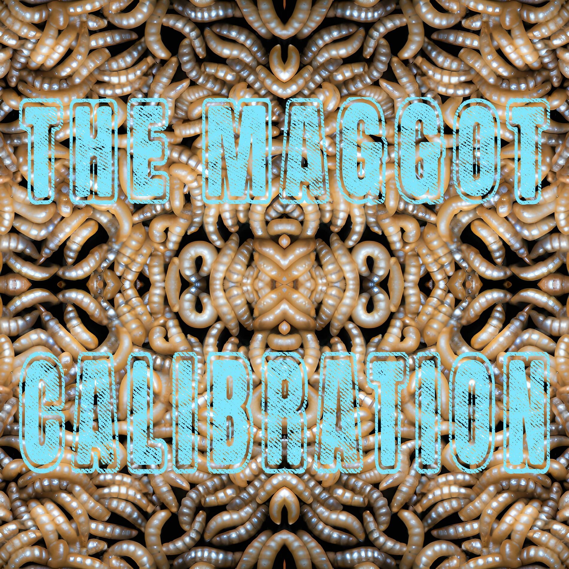 Album cover of The Maggot Calibration