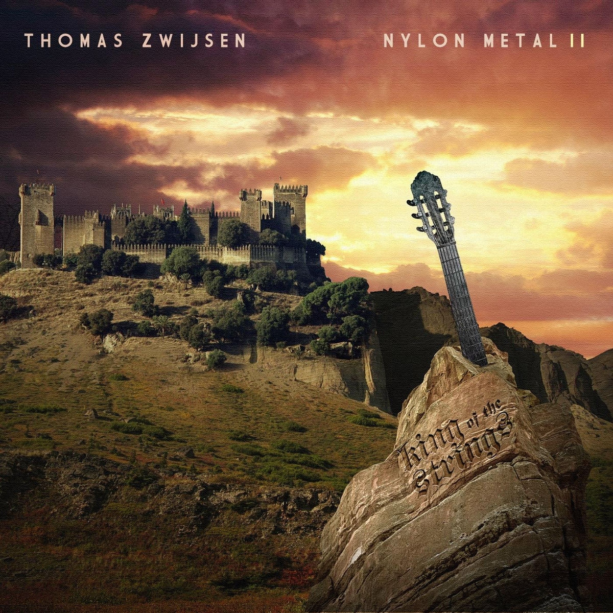Album cover of Nylon Metal II