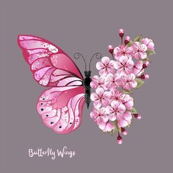 Cover of Butterfly Wings