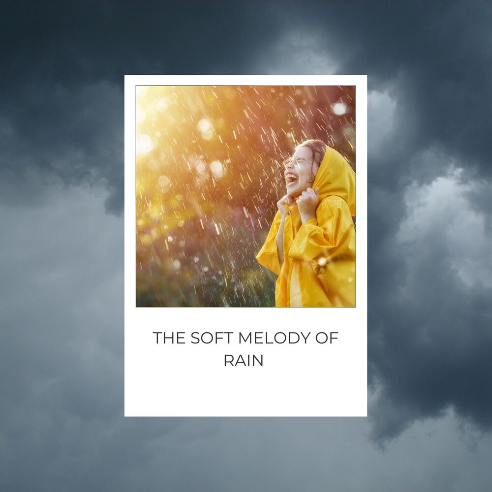 Picture of The Soft Melody of Rain