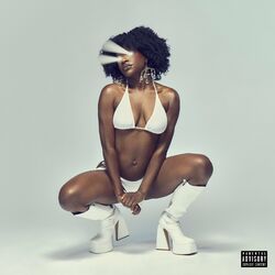 Cover of NAPPY HOUR II