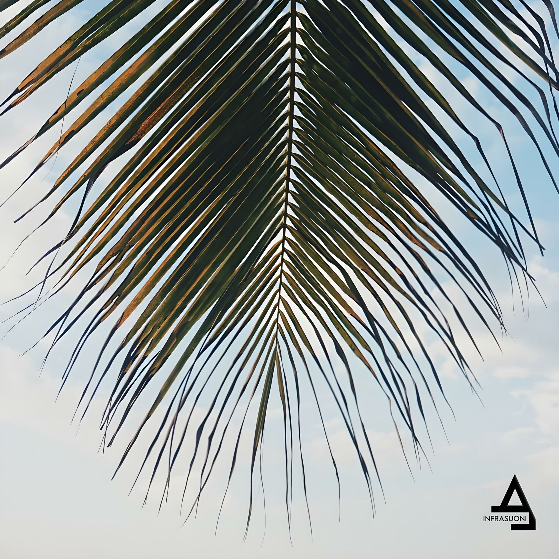 Album cover of Beach House (feat. Monroychis & Ruls.)