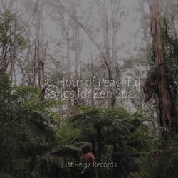 Cover of 100 Hour of Peaceful Songs for Zen Spa