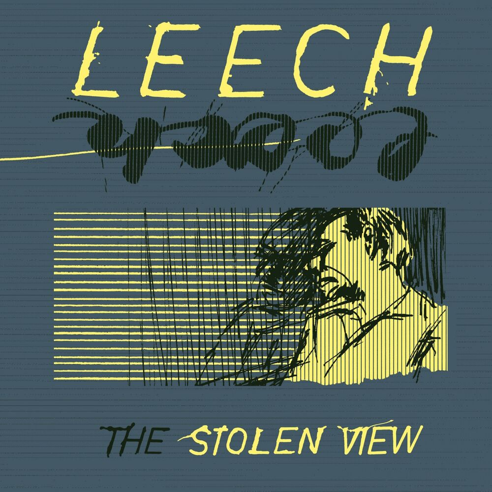 Picture of The Stolen View