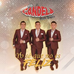 Cover of Yo Sé Que No Es Feliz (En Vivo)