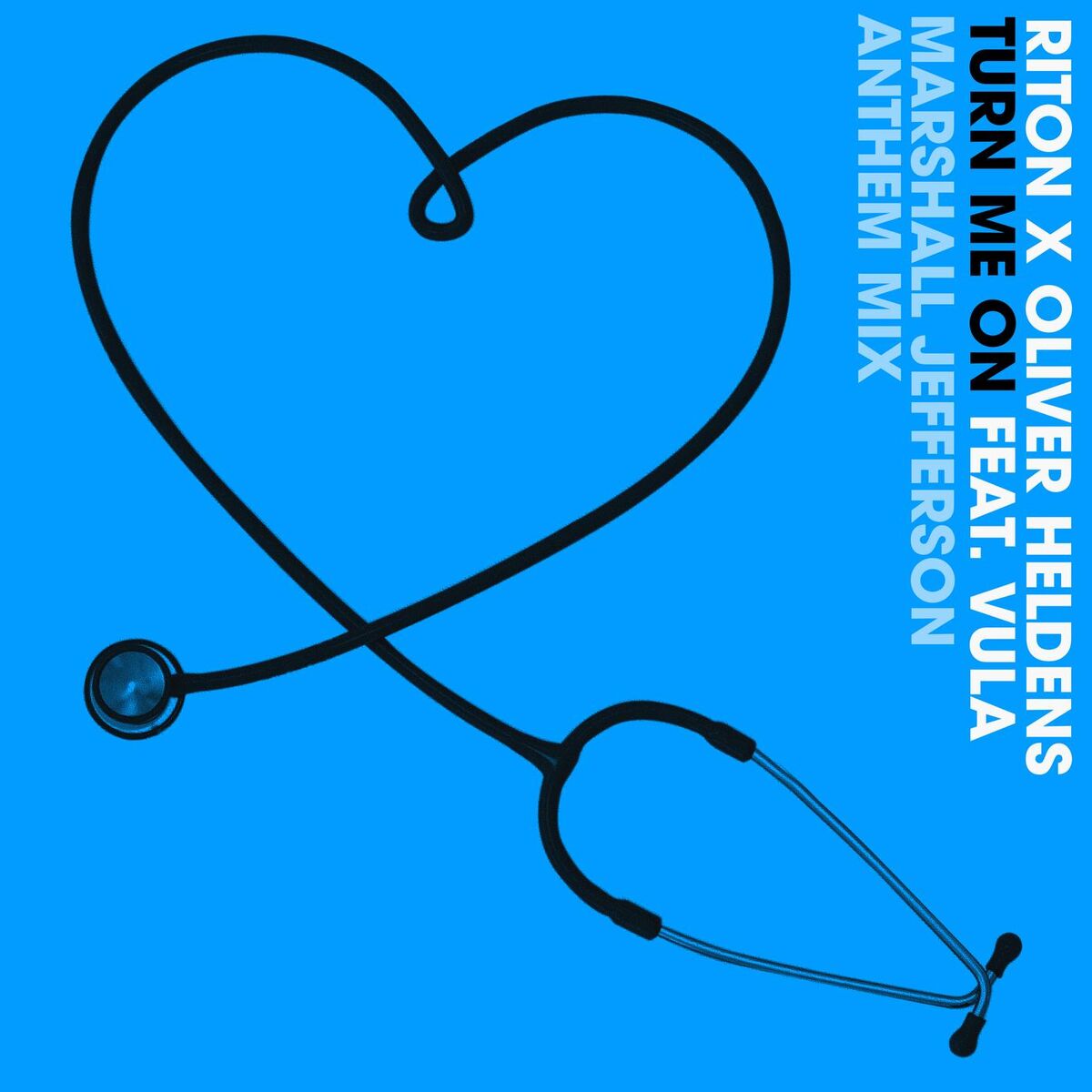 Album cover of Turn Me On (feat. Vula) (Marshall Jefferson Anthem Mix)