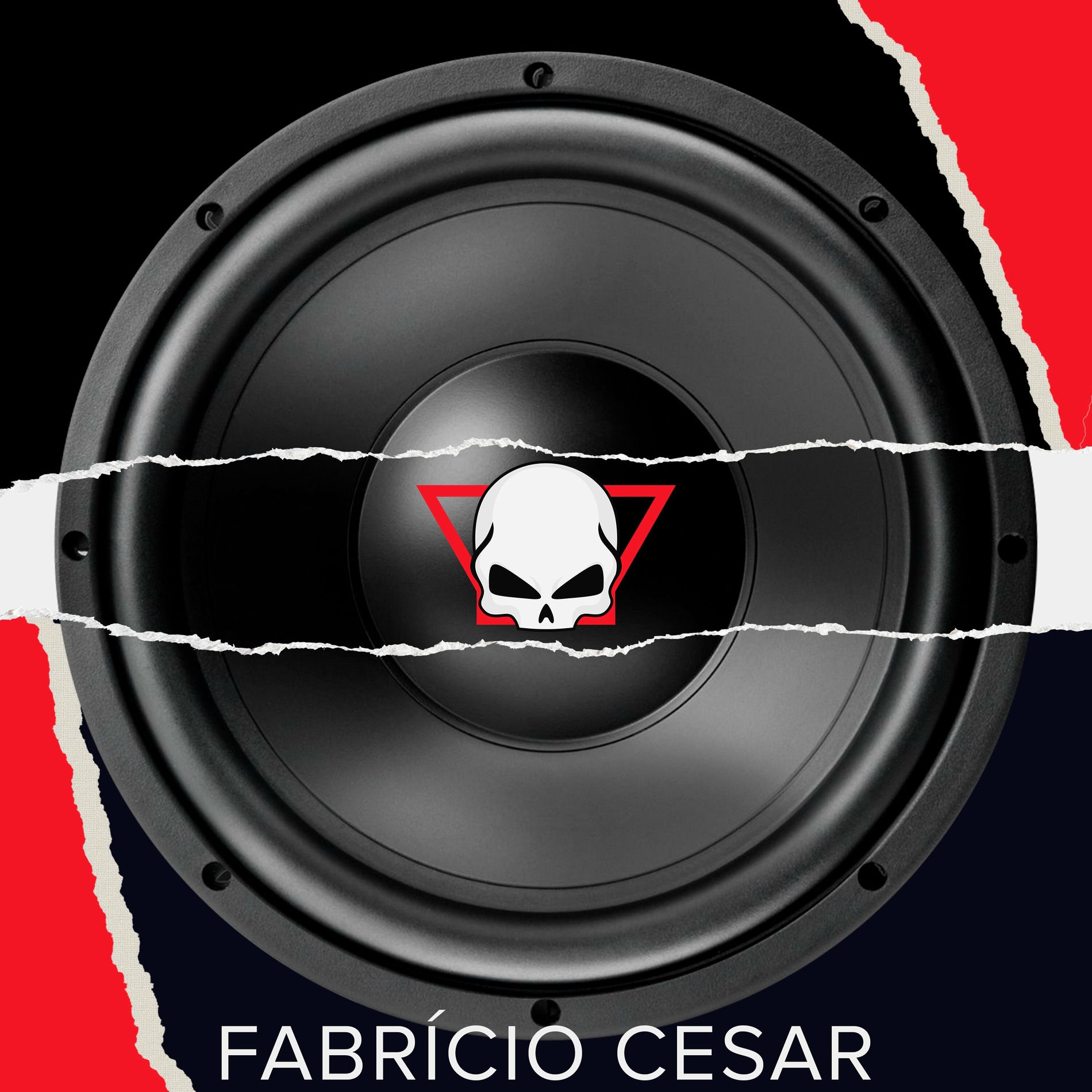 Album cover of Pancadão Definitivo