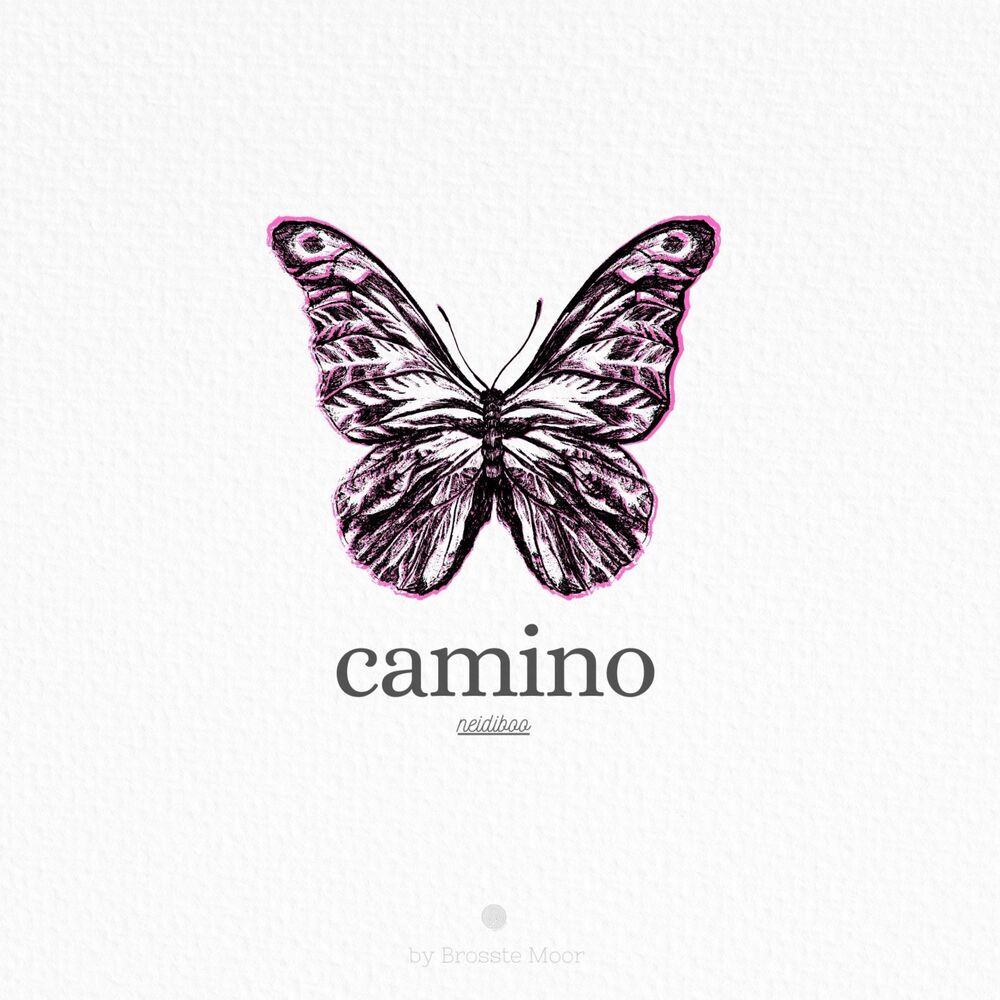 Picture of camino