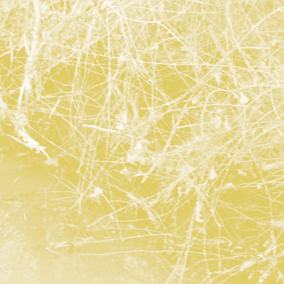 Album cover of Cursory Asperses
