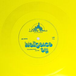 Cover of Celebration Ratio