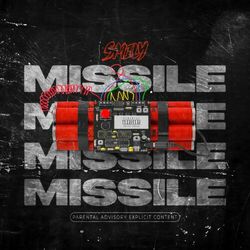 Cover of Missile