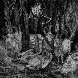 Cover of Forest of Grief