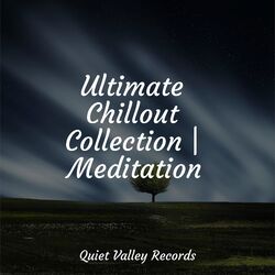 Cover of Ultimate Chillout Collection | Meditation