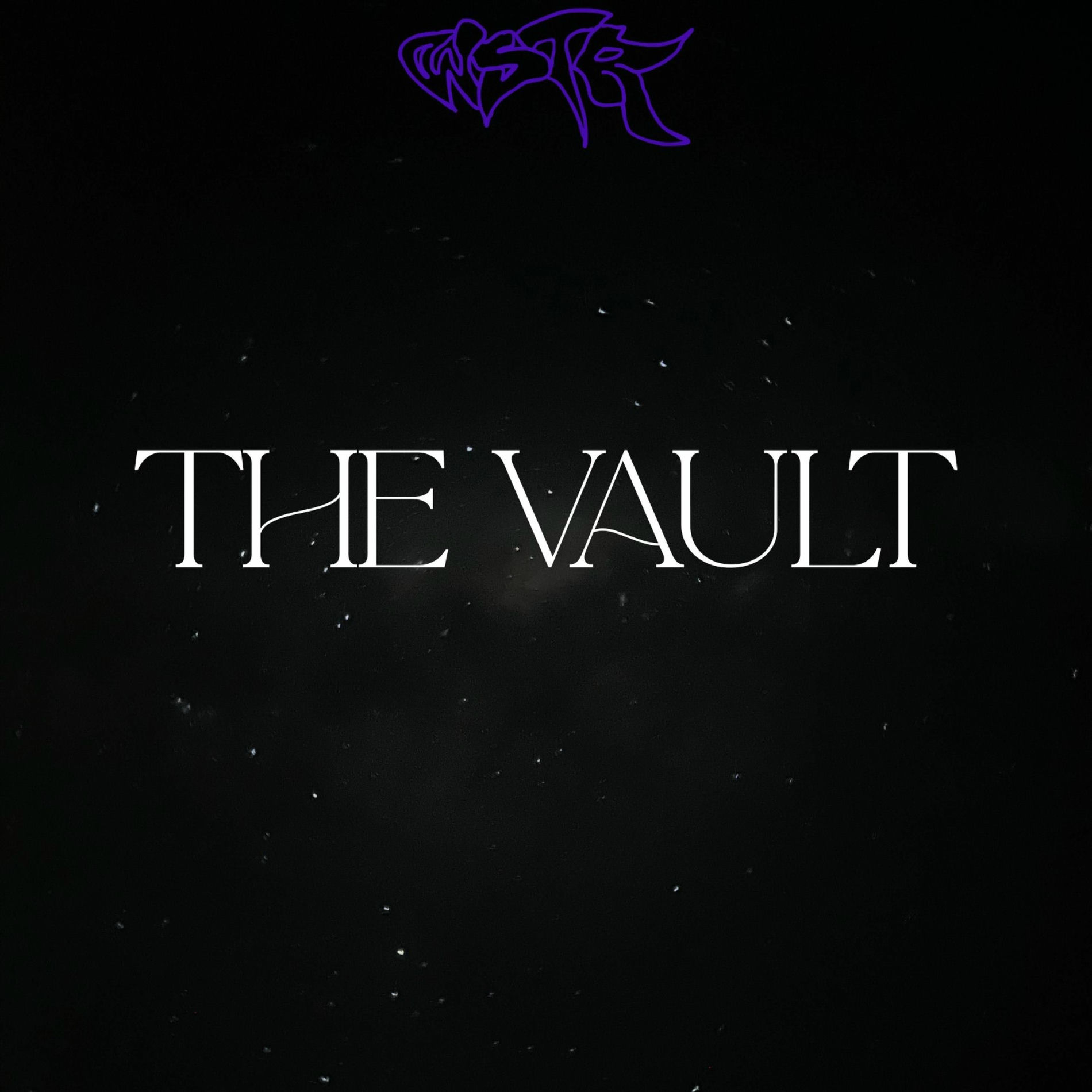 Album cover of The Vault