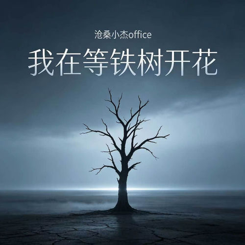 我在等铁树开花
