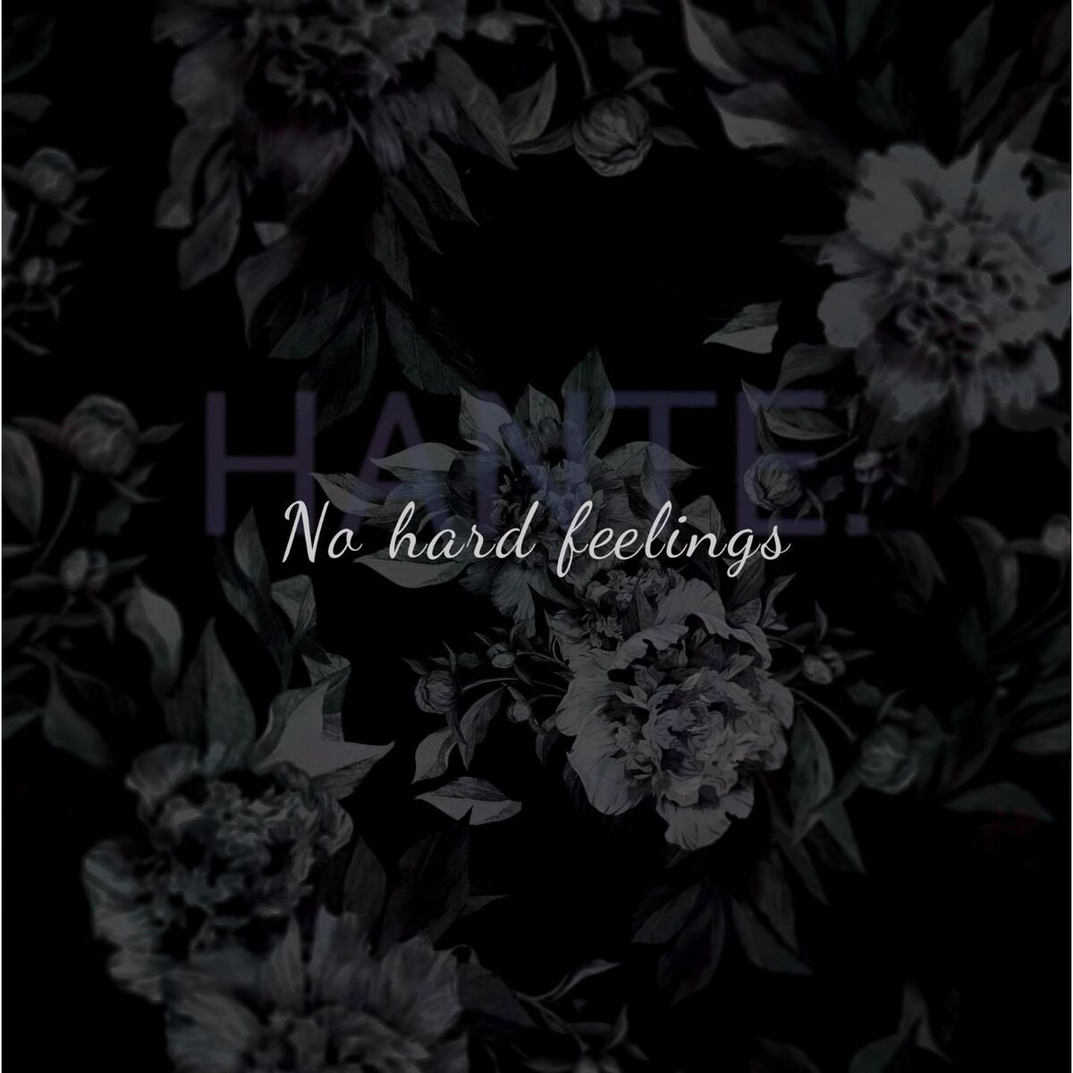 Album cover of No Hard Feelings