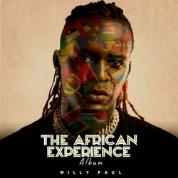 Cover of The African Experience
