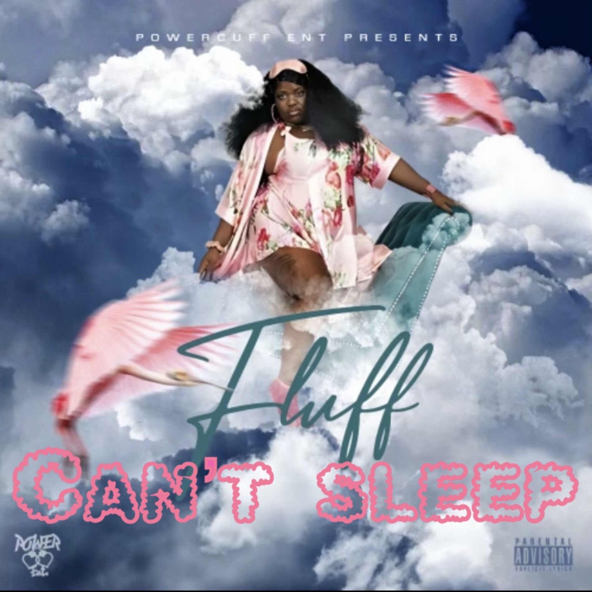 Album cover of Cant Sleep