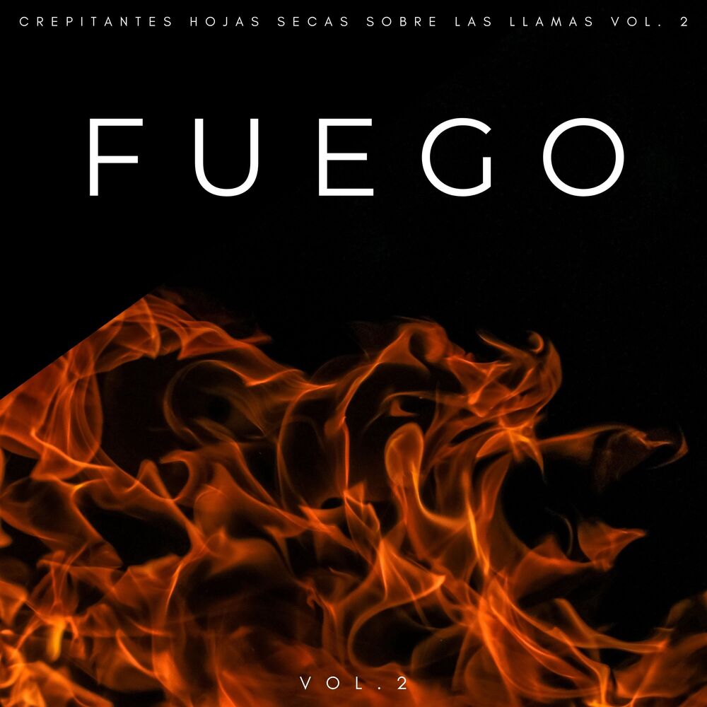 Picture of Fuego: Crepitantes Hojas Secas Sobre Las Llamas Vol. 2