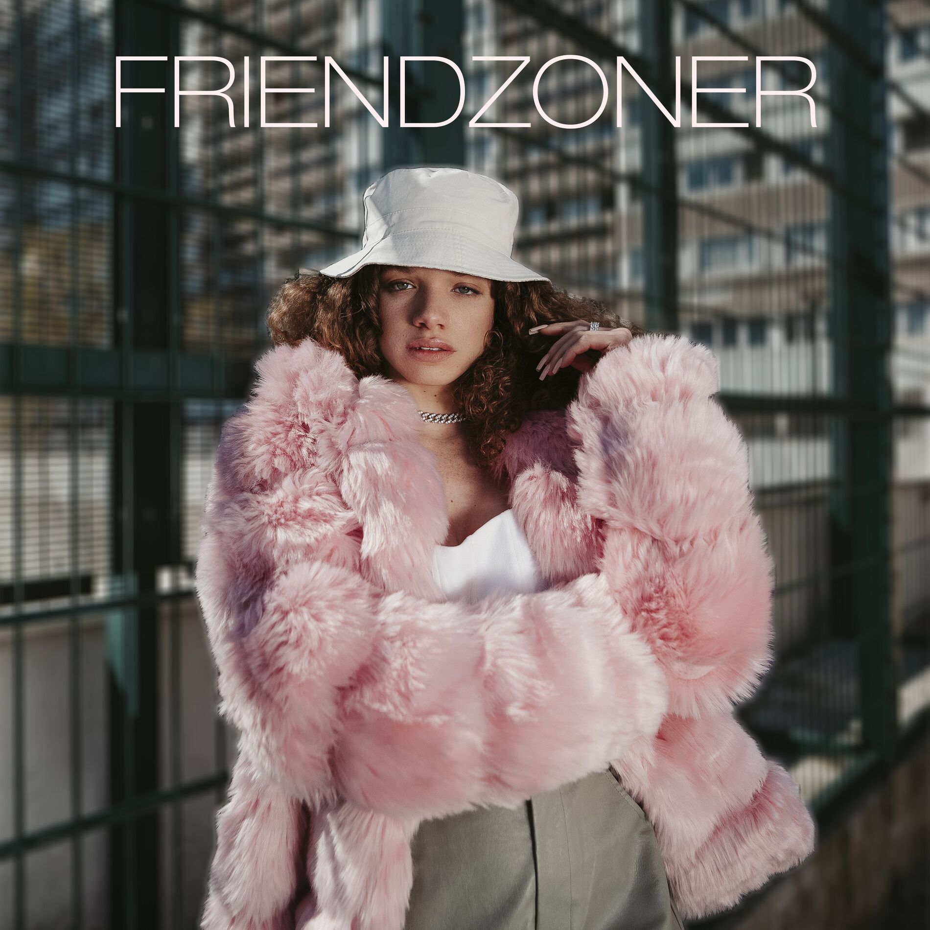 Album cover of Friendzoner