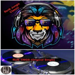 Cover of Run Tings