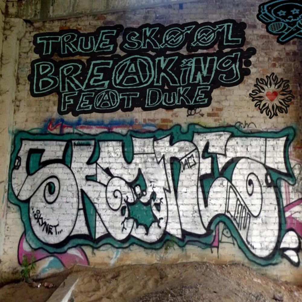 Picture of True Skool Breaking