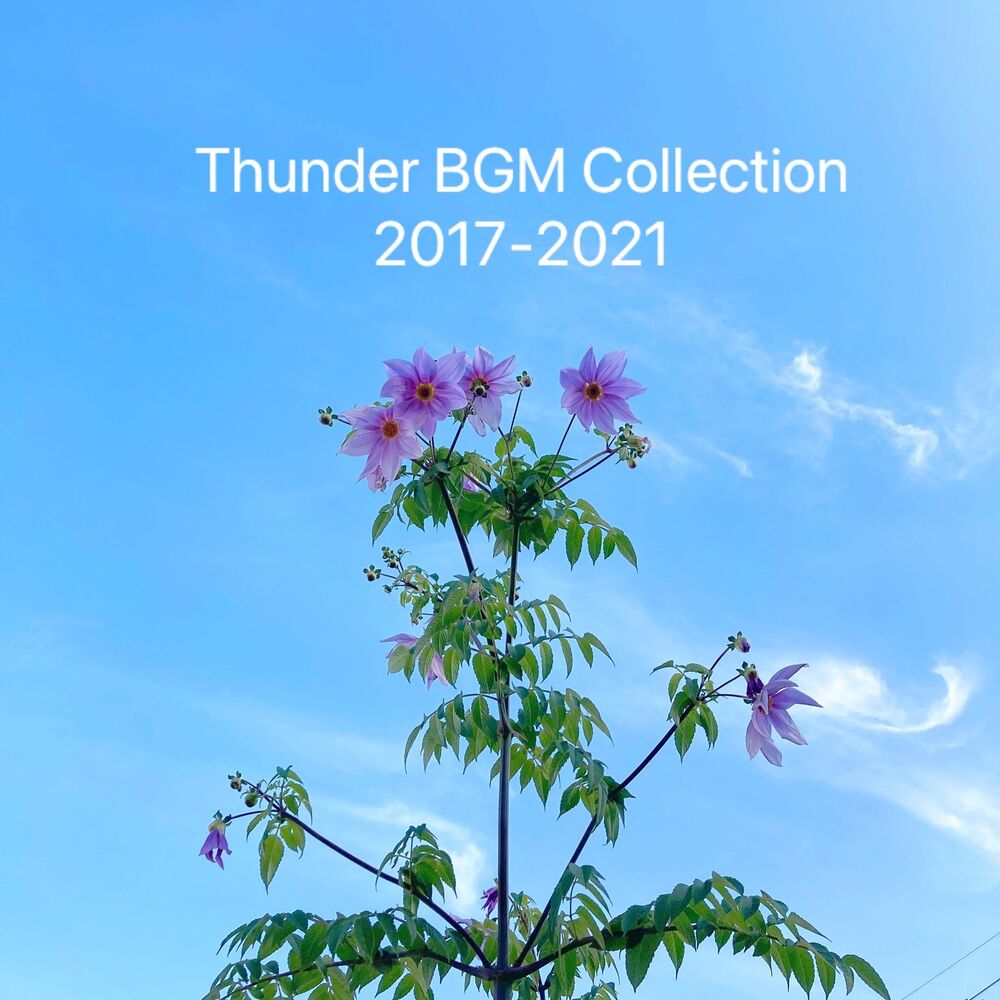 Picture of BGM Collection 2017-2021