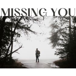 Cover of Missing You