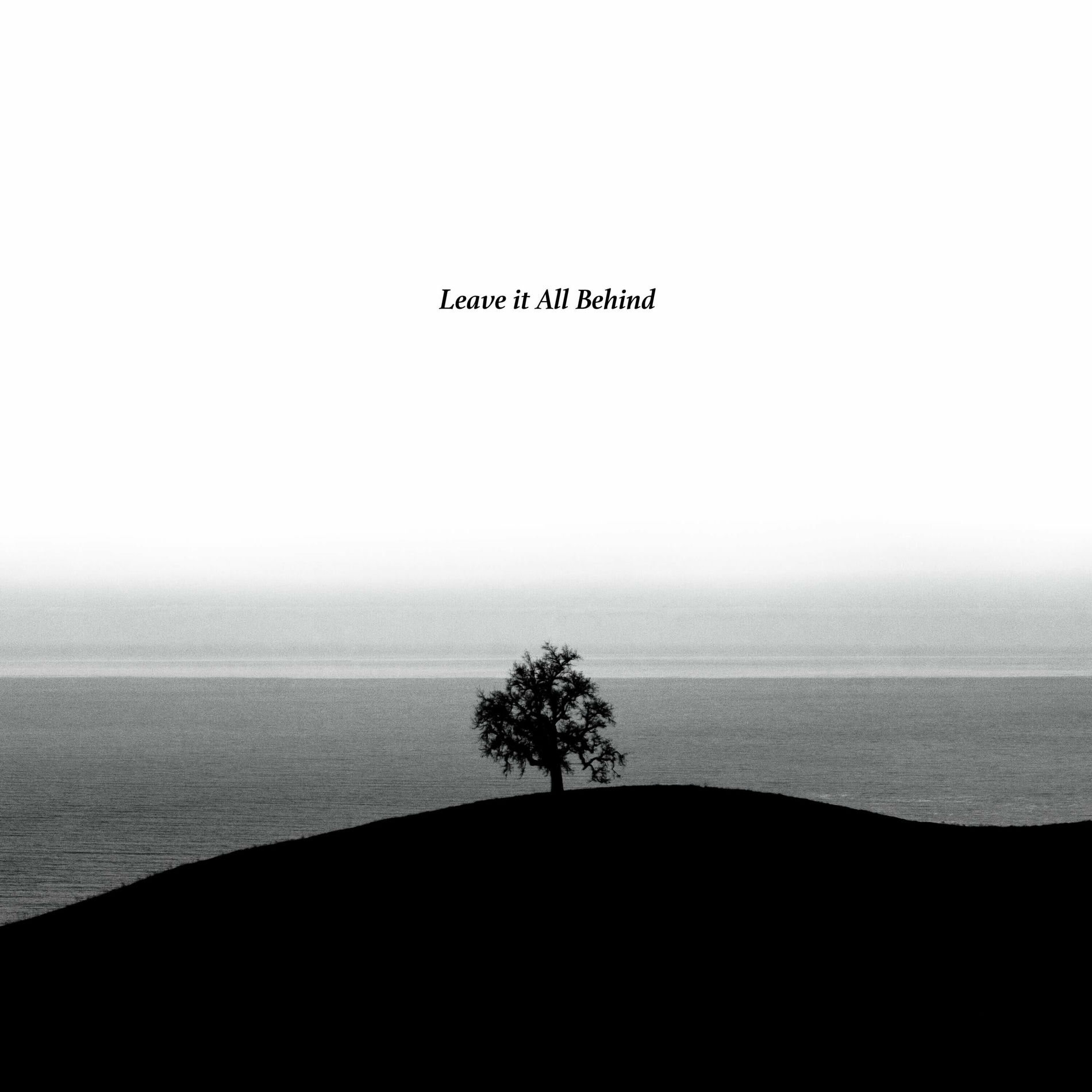 Album cover of Leave it All Behind
