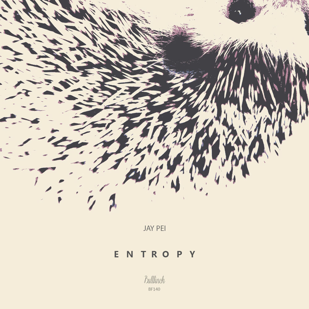 Picture of Entropy