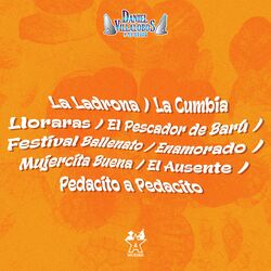 Cover of La Ladrona/La Cumbia Lloraras/El Pescador de Barú/Festival Ballenato/Enamorado/Mujercita Buena/El Ausente/ Pedacito a Pedacito