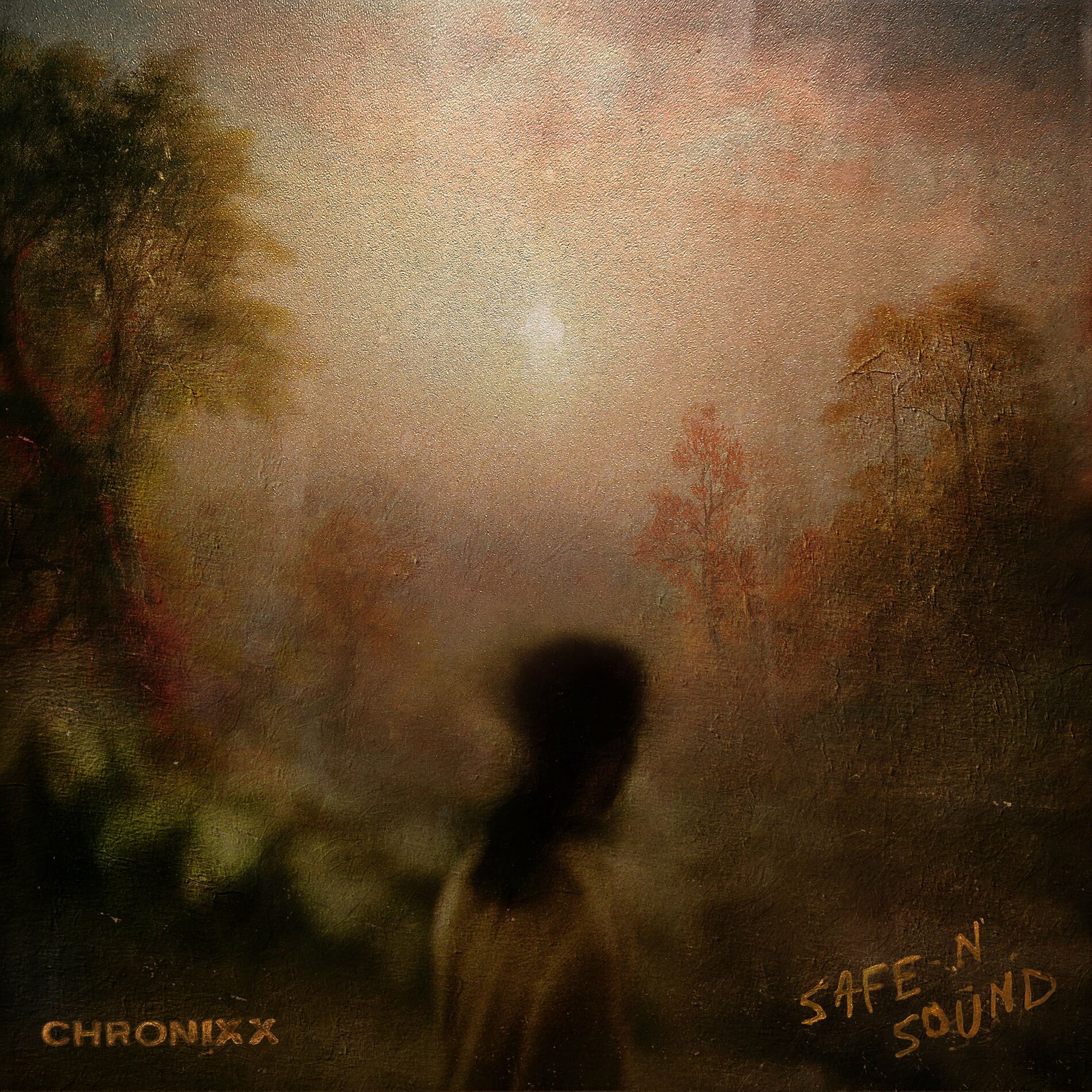 Album cover of Safe N Sound